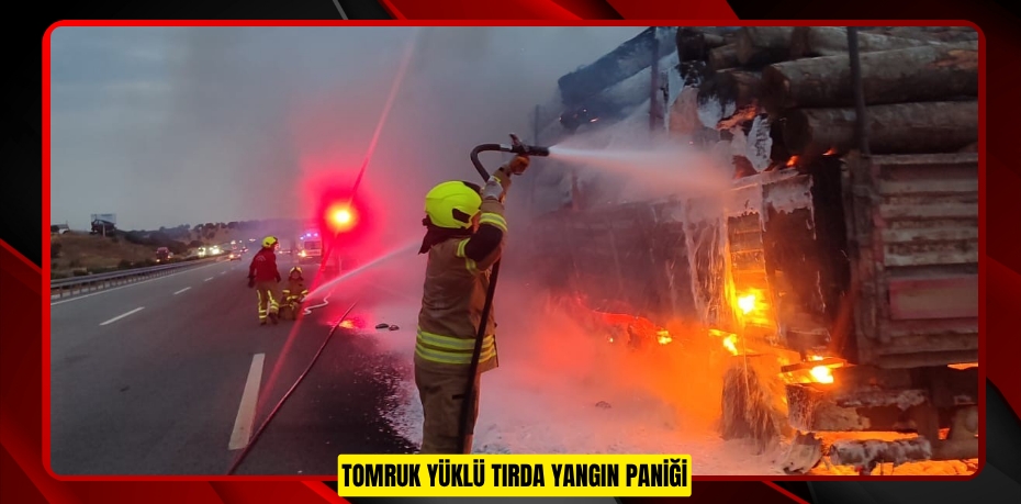 Tomruk yüklü tırda yangın paniği