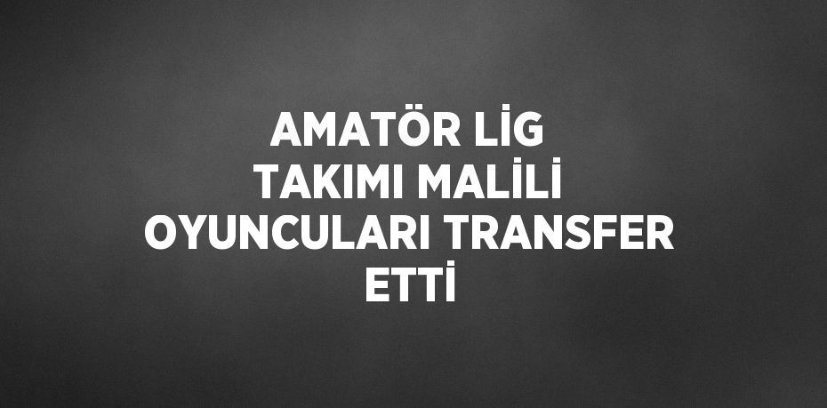 AMATÖR LİG TAKIMI MALİLİ OYUNCULARI TRANSFER ETTİ