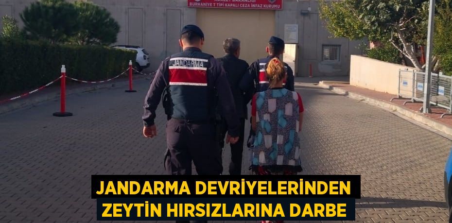 Jandarma devriyelerinden zeytin hırsızlarına darbe