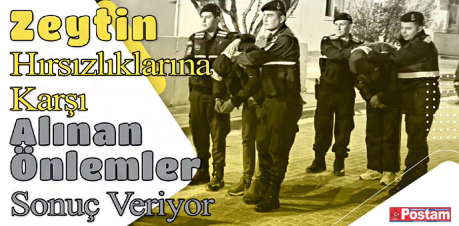 Zeytin Hırsızlıklarına Karşı Alınan Önlemler Sonuç Veriyor: