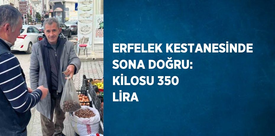ERFELEK KESTANESİNDE SONA DOĞRU: KİLOSU 350 LİRA
