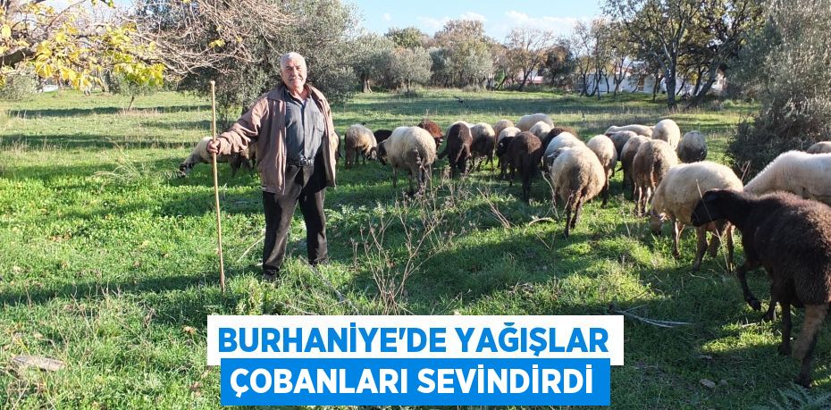 Burhaniye’de yağışlar çobanları sevindirdi