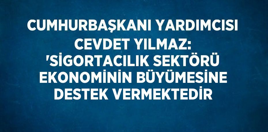 CUMHURBAŞKANI YARDIMCISI CEVDET YILMAZ: 'SİGORTACILIK SEKTÖRÜ EKONOMİNİN BÜYÜMESİNE DESTEK VERMEKTEDİR