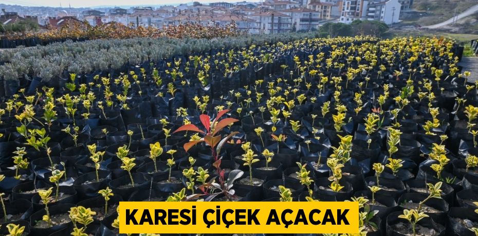 KARESİ ÇİÇEK AÇACAK