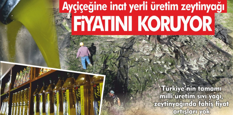 Ayçiçeğine inat yerli üretim zeytinyağı fiyatını koruyor