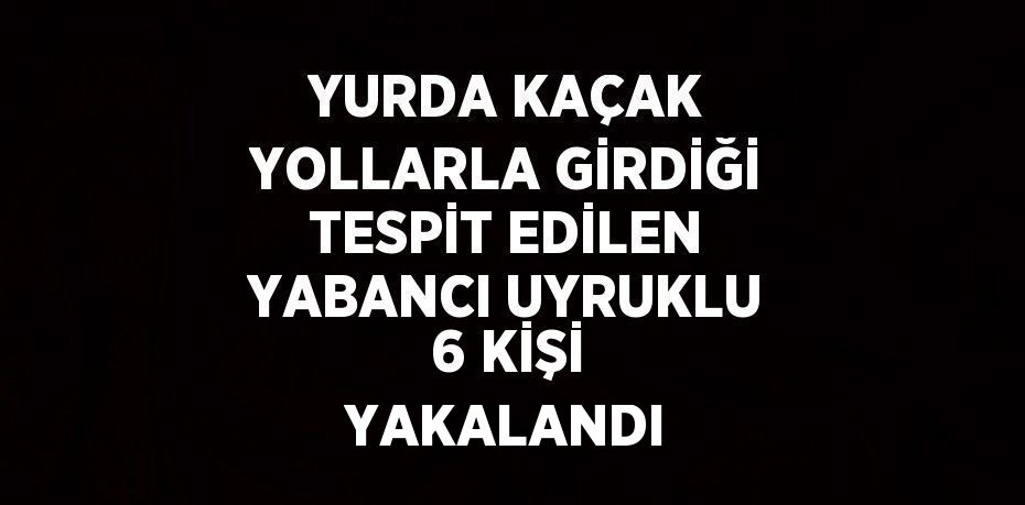 YURDA KAÇAK YOLLARLA GİRDİĞİ TESPİT EDİLEN YABANCI UYRUKLU 6 KİŞİ YAKALANDI