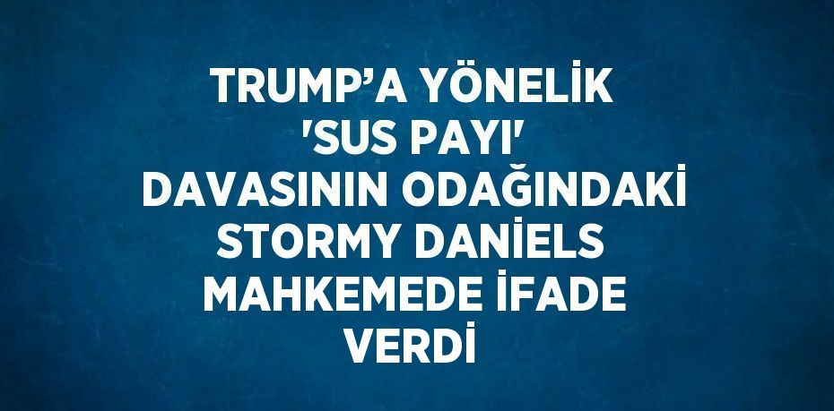 TRUMP’A YÖNELİK 'SUS PAYI' DAVASININ ODAĞINDAKİ STORMY DANİELS MAHKEMEDE İFADE VERDİ