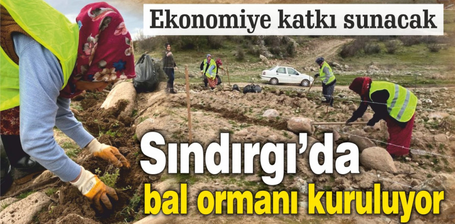 Sındırgı’da bal ormanı kuruluyor