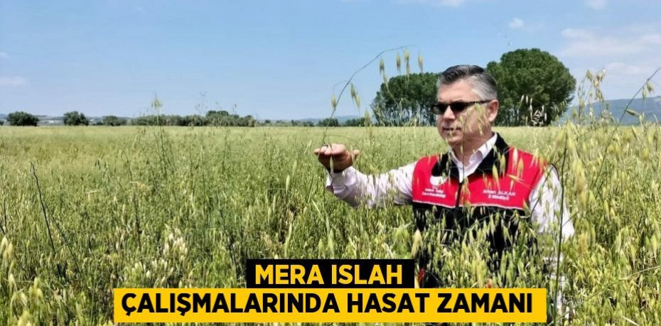 Mera Islah Çalışmalarında Hasat Zamanı