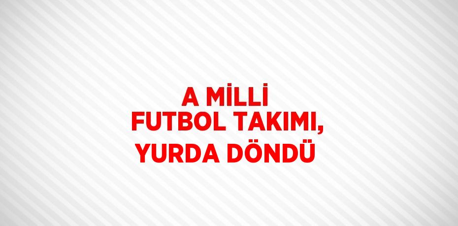 A MİLLİ FUTBOL TAKIMI, YURDA DÖNDÜ
