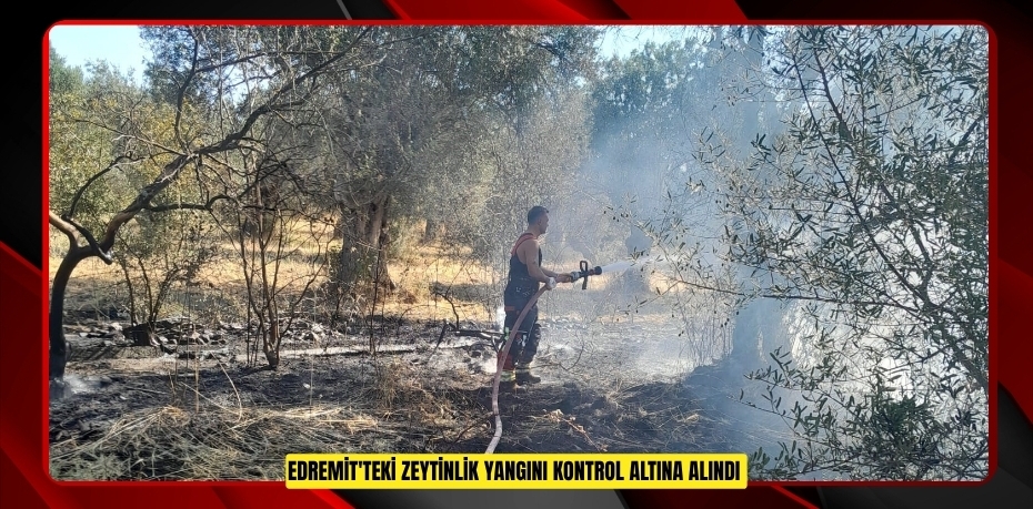 Edremit'teki zeytinlik yangını kontrol altına alındı  