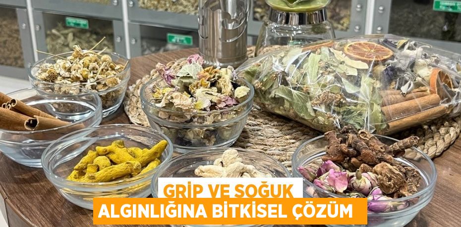 Grip ve soğuk algınlığına bitkisel çözüm 
