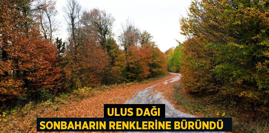 Ulus Dağı sonbaharın renklerine büründü