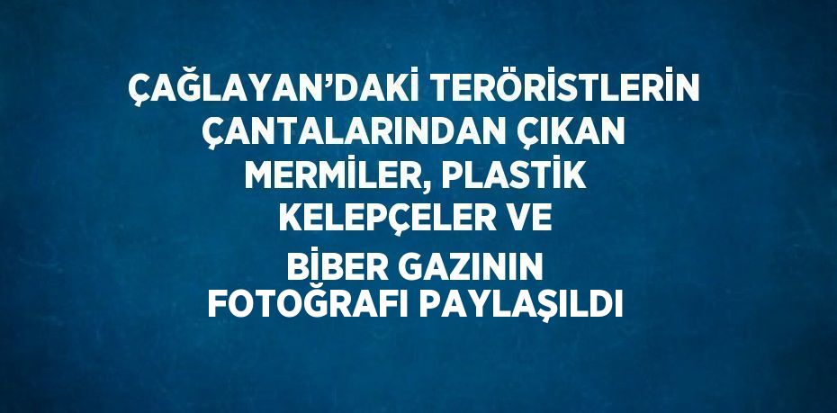 ÇAĞLAYAN’DAKİ TERÖRİSTLERİN ÇANTALARINDAN ÇIKAN MERMİLER, PLASTİK KELEPÇELER VE BİBER GAZININ FOTOĞRAFI PAYLAŞILDI