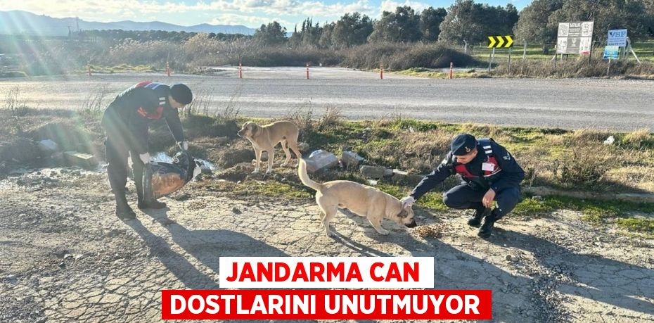 Jandarma can dostlarını unutmuyor