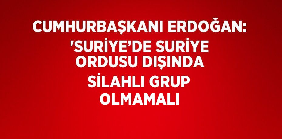CUMHURBAŞKANI ERDOĞAN: 'SURİYE’DE SURİYE ORDUSU DIŞINDA SİLAHLI GRUP OLMAMALI