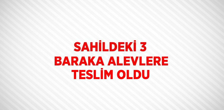SAHİLDEKİ 3 BARAKA ALEVLERE TESLİM OLDU