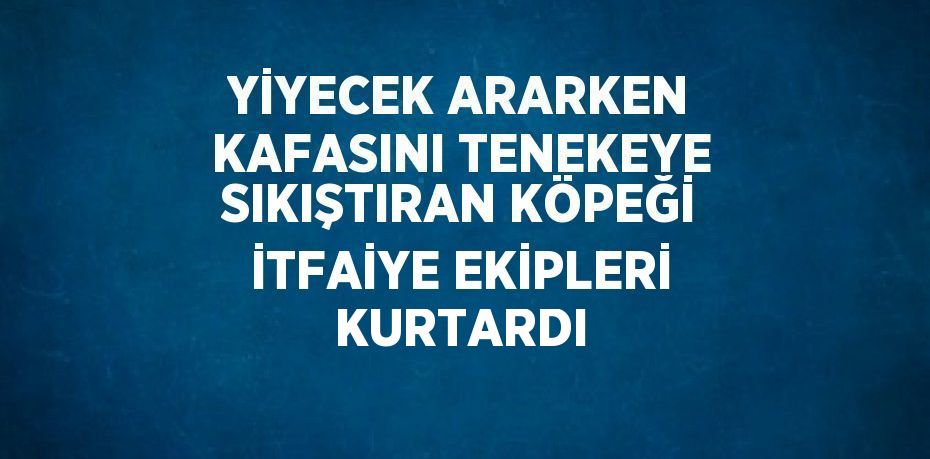YİYECEK ARARKEN KAFASINI TENEKEYE SIKIŞTIRAN KÖPEĞİ İTFAİYE EKİPLERİ KURTARDI