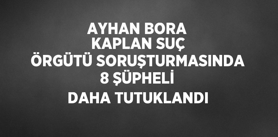 AYHAN BORA KAPLAN SUÇ ÖRGÜTÜ SORUŞTURMASINDA 8 ŞÜPHELİ DAHA TUTUKLANDI