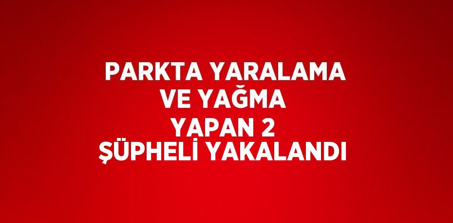 PARKTA YARALAMA VE YAĞMA YAPAN 2 ŞÜPHELİ YAKALANDI