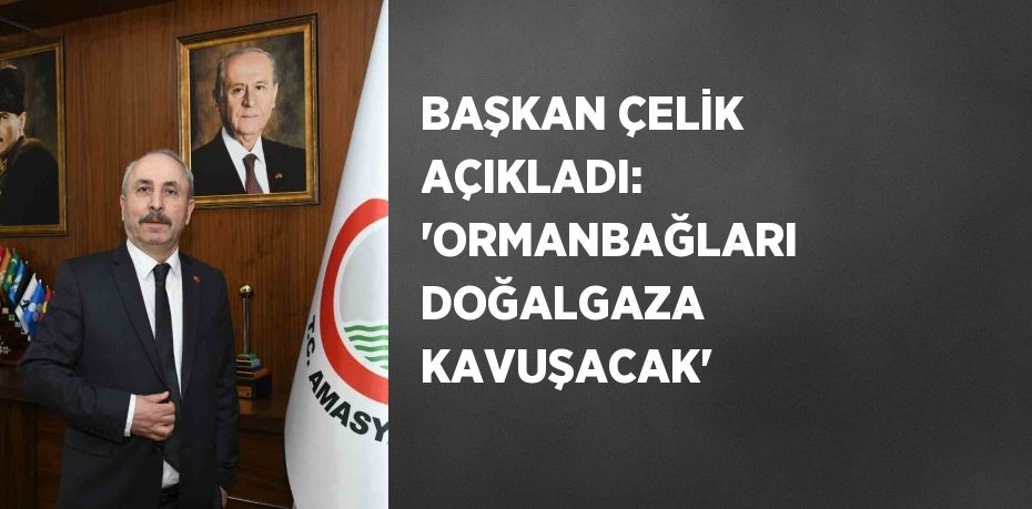 BAŞKAN ÇELİK AÇIKLADI: 'ORMANBAĞLARI DOĞALGAZA KAVUŞACAK'