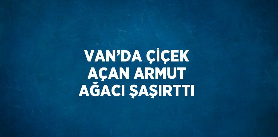 VAN’DA ÇİÇEK AÇAN ARMUT AĞACI ŞAŞIRTTI