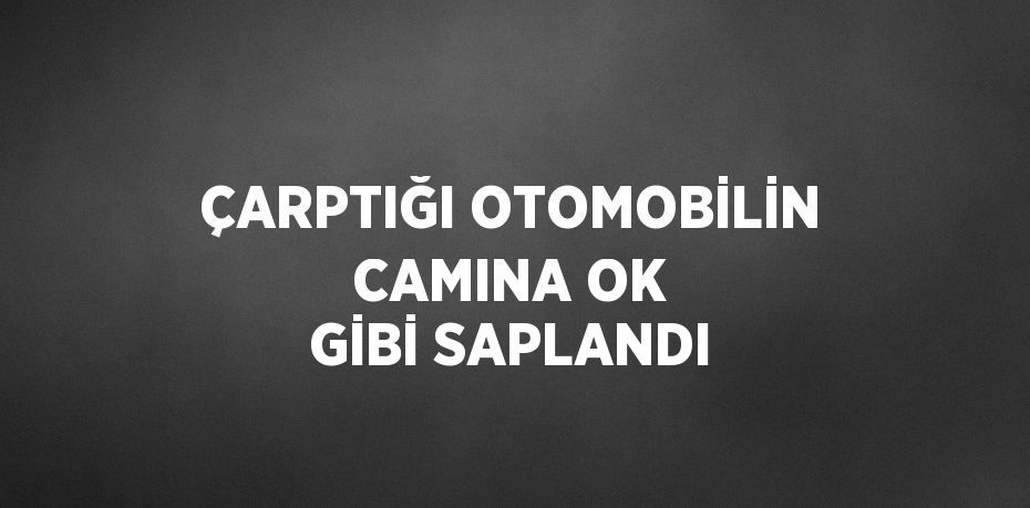 ÇARPTIĞI OTOMOBİLİN CAMINA OK GİBİ SAPLANDI