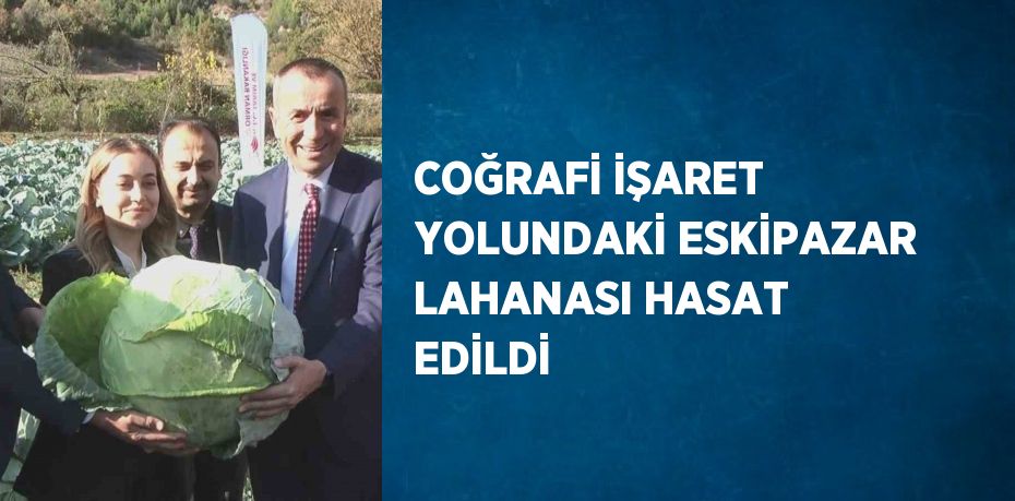COĞRAFİ İŞARET YOLUNDAKİ ESKİPAZAR LAHANASI HASAT EDİLDİ