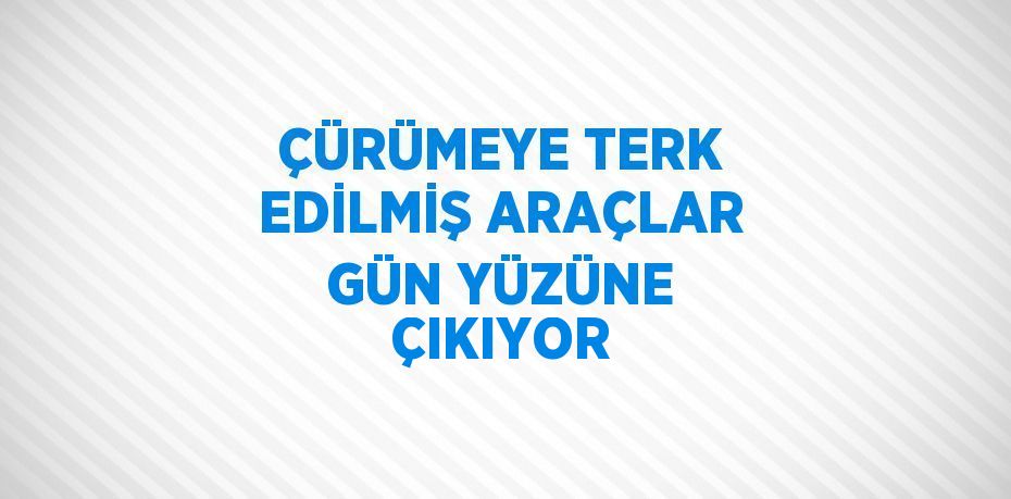 ÇÜRÜMEYE TERK EDİLMİŞ ARAÇLAR GÜN YÜZÜNE ÇIKIYOR