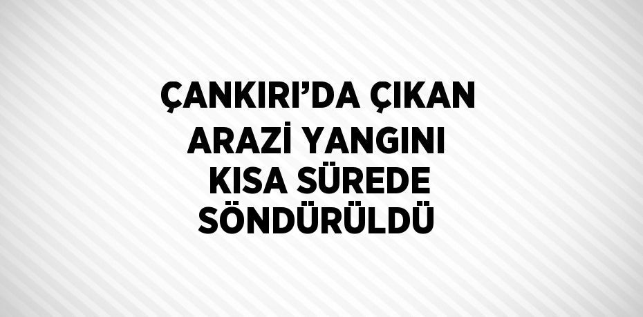 ÇANKIRI’DA ÇIKAN ARAZİ YANGINI KISA SÜREDE SÖNDÜRÜLDÜ