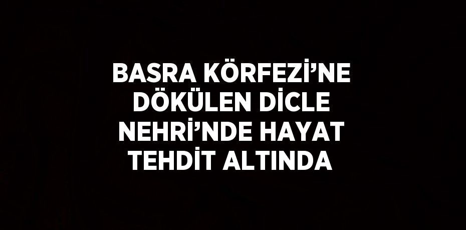 BASRA KÖRFEZİ’NE DÖKÜLEN DİCLE NEHRİ’NDE HAYAT TEHDİT ALTINDA