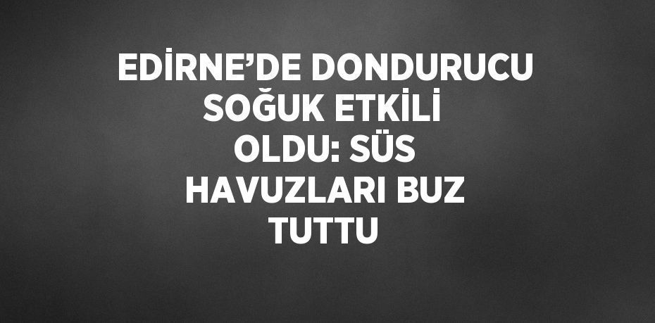 EDİRNE’DE DONDURUCU SOĞUK ETKİLİ OLDU: SÜS HAVUZLARI BUZ TUTTU