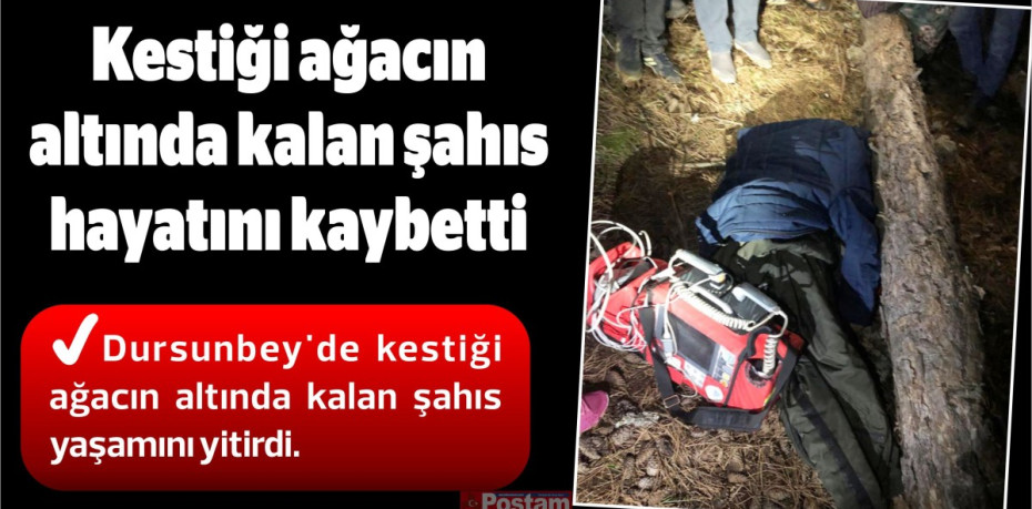 Kestiği ağacın altında kalan şahıs hayatını kaybetti