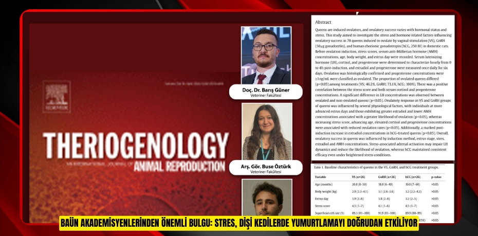 BAÜN AKADEMİSYENLERİNDEN ÖNEMLİ BULGU: STRES, DİŞİ KEDİLERDE YUMURTLAMAYI DOĞRUDAN ETKİLİYOR