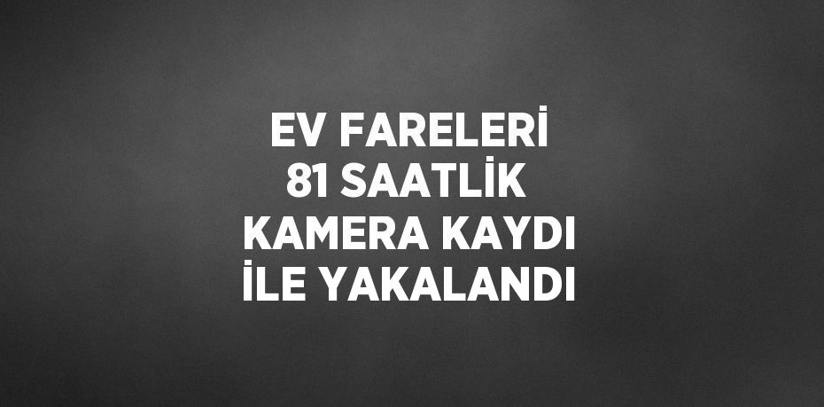 EV FARELERİ 81 SAATLİK KAMERA KAYDI İLE YAKALANDI