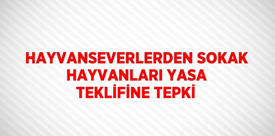 HAYVANSEVERLERDEN SOKAK HAYVANLARI YASA TEKLİFİNE TEPKİ