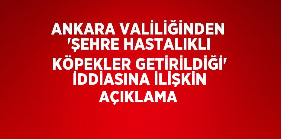 ANKARA VALİLİĞİNDEN 'ŞEHRE HASTALIKLI KÖPEKLER GETİRİLDİĞİ' İDDİASINA İLİŞKİN AÇIKLAMA
