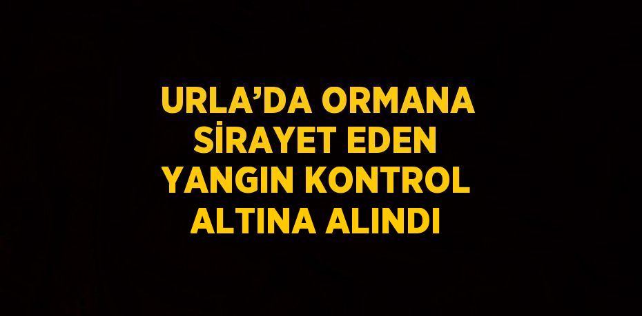 URLA’DA ORMANA SİRAYET EDEN YANGIN KONTROL ALTINA ALINDI