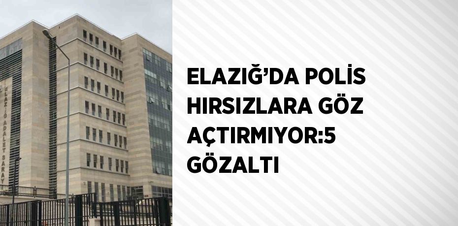 ELAZIĞ’DA POLİS HIRSIZLARA GÖZ AÇTIRMIYOR:5 GÖZALTI