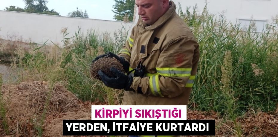 KİRPİYİ SIKIŞTIĞI YERDEN, İTFAİYE KURTARDI