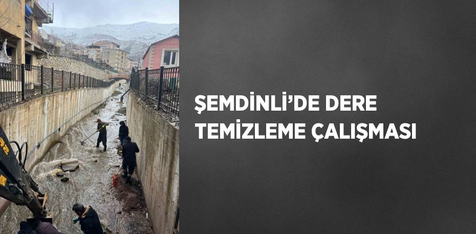 ŞEMDİNLİ’DE DERE TEMİZLEME ÇALIŞMASI