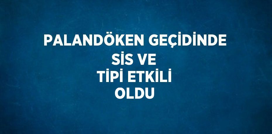 PALANDÖKEN GEÇİDİNDE SİS VE TİPİ ETKİLİ OLDU