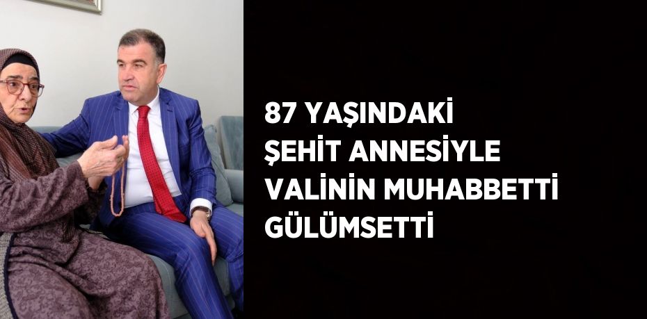 87 YAŞINDAKİ ŞEHİT ANNESİYLE VALİNİN MUHABBETTİ GÜLÜMSETTİ