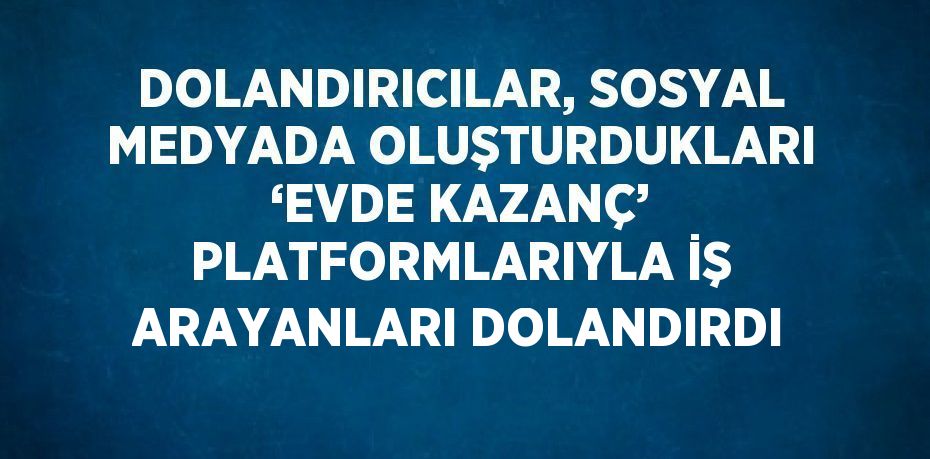 DOLANDIRICILAR, SOSYAL MEDYADA OLUŞTURDUKLARI ‘EVDE KAZANÇ’ PLATFORMLARIYLA İŞ ARAYANLARI DOLANDIRDI
