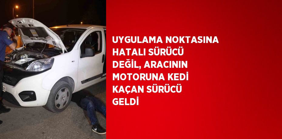 UYGULAMA NOKTASINA HATALI SÜRÜCÜ DEĞİL, ARACININ MOTORUNA KEDİ KAÇAN SÜRÜCÜ GELDİ
