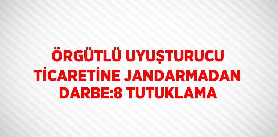 ÖRGÜTLÜ UYUŞTURUCU TİCARETİNE JANDARMADAN DARBE:8 TUTUKLAMA