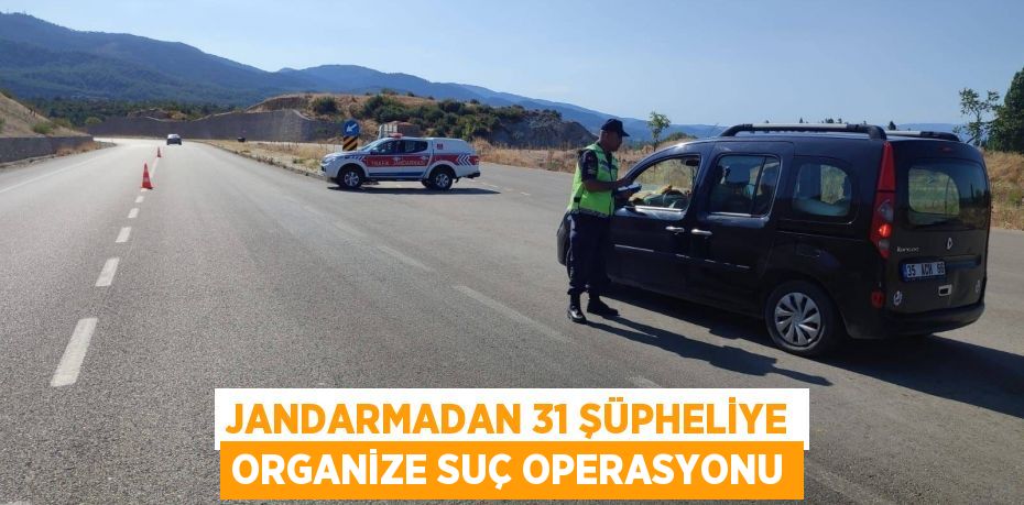 Jandarmadan 31 şüpheliye organize suç operasyonu
