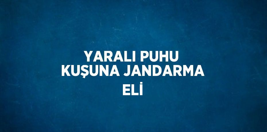 YARALI PUHU KUŞUNA JANDARMA ELİ