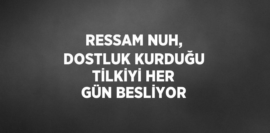 RESSAM NUH, DOSTLUK KURDUĞU TİLKİYİ HER GÜN BESLİYOR