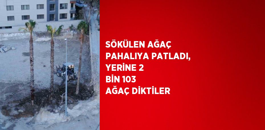 SÖKÜLEN AĞAÇ PAHALIYA PATLADI, YERİNE 2 BİN 103 AĞAÇ DİKTİLER